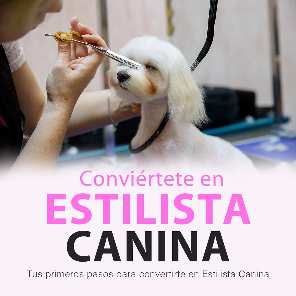 Curso Auxiliar Peluquería Canina