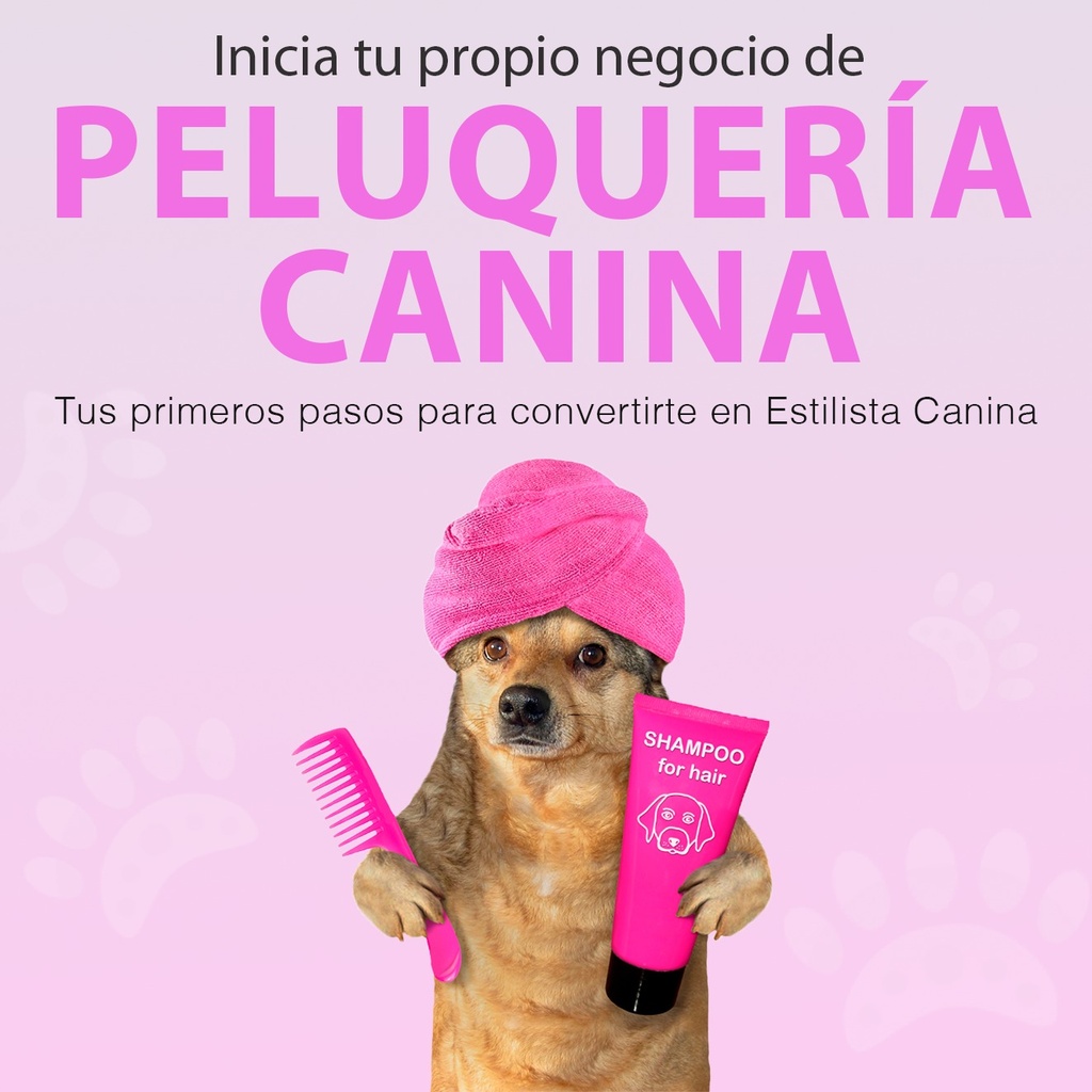 Curso Profesional Peluquería Canina